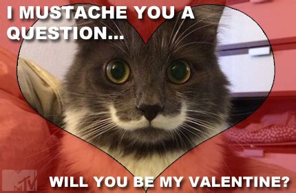 So take a breather and laugh with these deeply relatable memes to make valentine's day a little less of a slog to endure. 20 Cute and Funny Valentine's Day Memes | SayingImages.com
