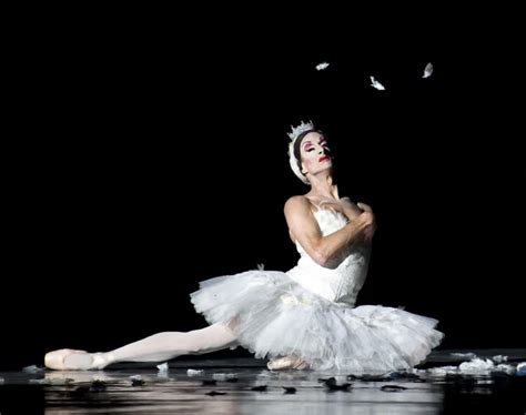 The Dying Swan Les Ballets Trockadero De Monte Carlo
