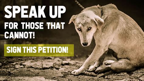 Petition · Stop Animal Cruelty Protect Animal Rights ·