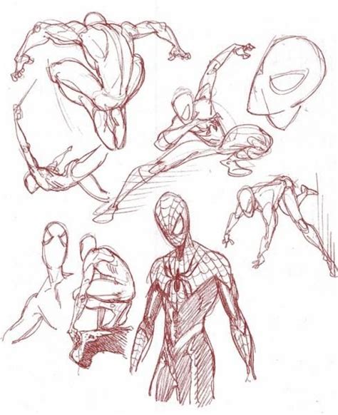 Pin By Bộ Đình On Action Pose Sheéts In 2019 Spiderman Art Spiderman Drawing Spiderman Poses