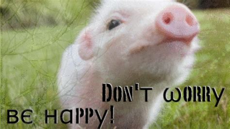 Nicole's door opened, and she stomped down the hall. Quotes about Cute pigs (19 quotes)