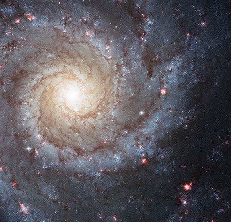 Rolscience Messier 74 Galaxia Espiral De Gran Diseño