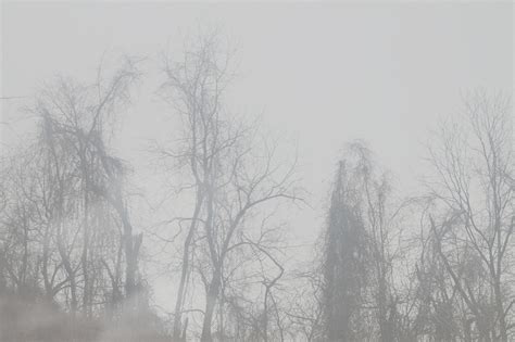 Gray gradient ✓ gray is a frequently used color for all designs. pale grunge tumblr background - Google Search on We Heart ...