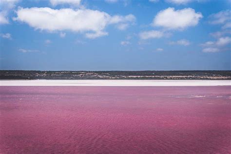 Descubriendo La Naturaleza De Australia El Lago Rosa Gomeranoticias
