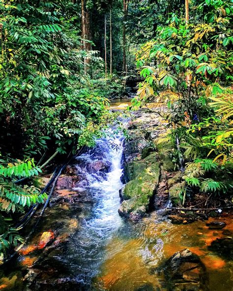 Sungai tekala recreational forest (hutan lipur sungai tekala) is located 43 km from kuala lumpur city in the hulu langat area close to semenyih dam. Sungai Tekala Recreation Forest Semenyih, Selangor 03-2616 ...