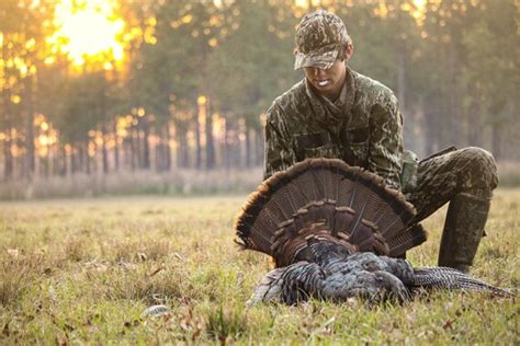Turkey Numbers Reported “steady” Ahead Of April 16 Hunting Opener Okw