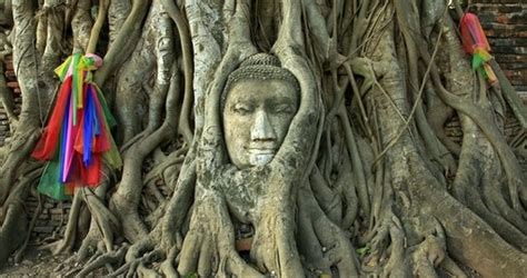 Zoo Jobs: Wildlife tour guide