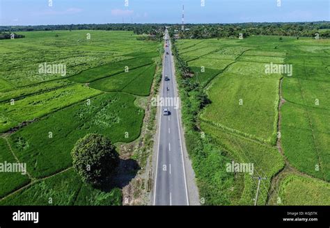 Road And Rice Field In Sidrap South Sulawesi Indonesia Stock Photo
