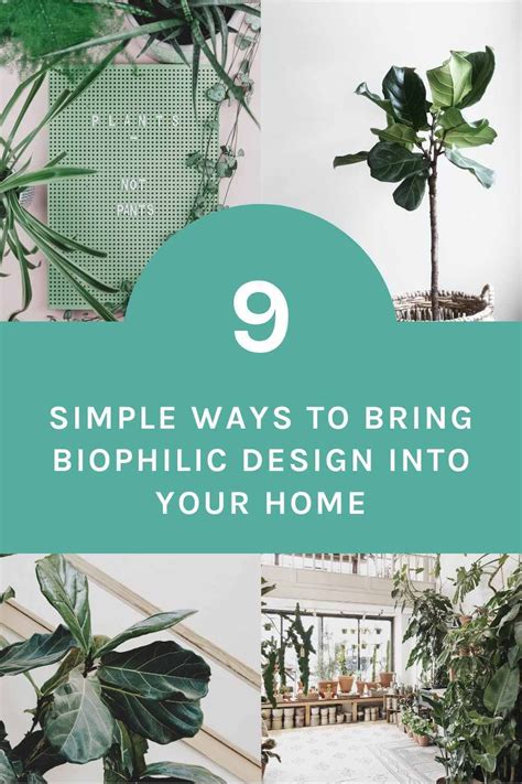 What Is Biophilic Design And How Can You Use It In Your Home