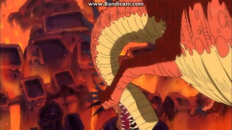 Luffy And Zoro Vs Dragon Youtube