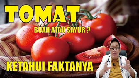 Tomat Buah Atau Sayuran Ketahui Fakta Fakta Menarik