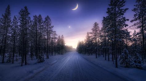 Snow Covered Road Between Trees Under Blue Sky With Moon And A Star 4k