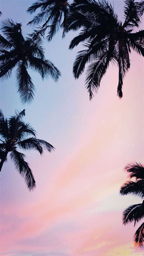 Iphone Wallpaper Phone Covers In 2019 Sunset Iphone