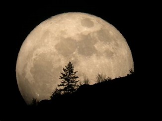 Image result for images of the full moon