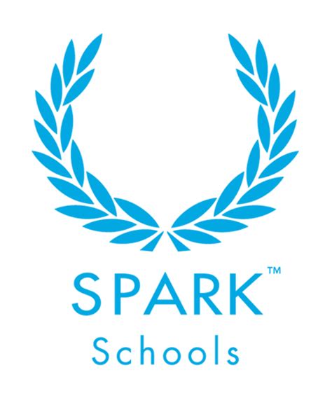 Spark Randburg High Learner Shines At Eskom Expo Spark Schools