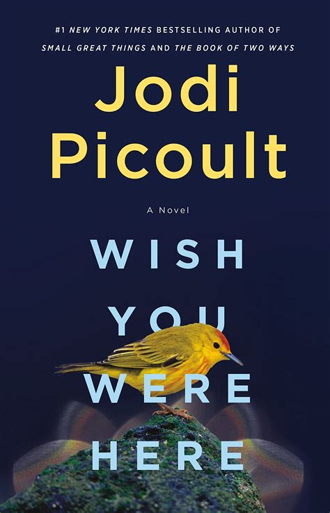 Famed Author Jodi Picoult Novelizes The Pandemic In New Book Wish You