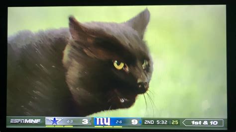 Dallas Cowboys Vs Ny Giants Black Cat Youtube
