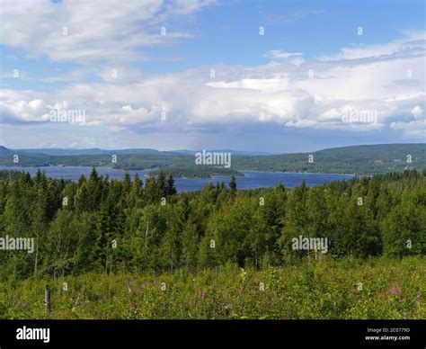 Landscape At The High Coast In Sweden Stock Photo Alamy