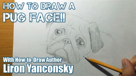 The skeletons of dogs and cats are quite similar, especially in the simplified version drawn here. How to Draw a Pug Dog Face - Step by Step | FunnyDog.TV