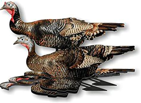 Fud Turkey Decoy Pack Of 6 Foldable Collapsible Compact Perfect
