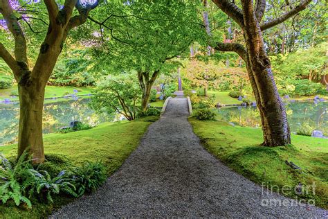 Road To The Traditional Japanese Tea And Stroll Garden In Vancouver Bc