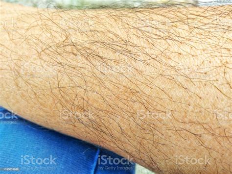 Human Leg Skin With Black Hair Stock Photo Download Image Now Adult