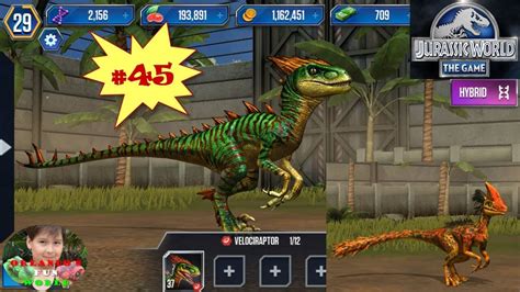Evolving Super Rare Velociraptor To Level 40 Jurassic World The Game Part45 Youtube