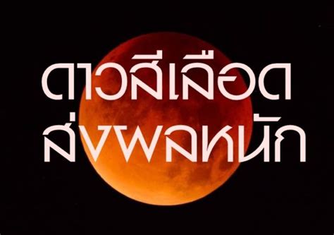 สำหรับเบอร์โทรและชื่อเจ้าของพระ สมาชิกทั่วไปและท่านที่ไม่ได้เป็นสมาชิกเว็บ สามารถเห็นได้หลังจากลงไปแล้ว ๑ ชั่วโมง เพือเปิด. 'นอสตราดามุสเมืองไทย' ชี้ปี 62 ดาวสีเลือดส่งผลหนัก ...