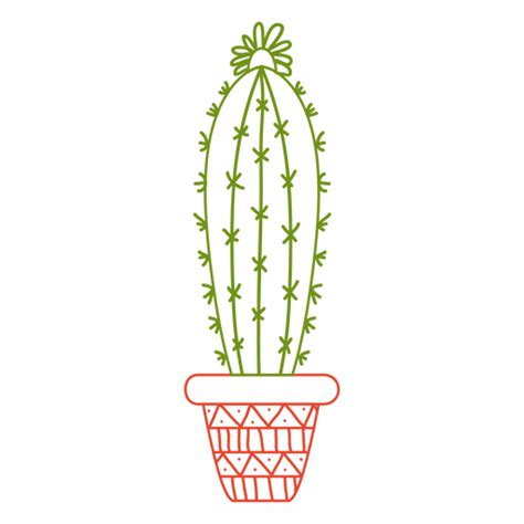 Cactus Pot Ornamented Color Silhouette Transparent Png And Svg Vector File