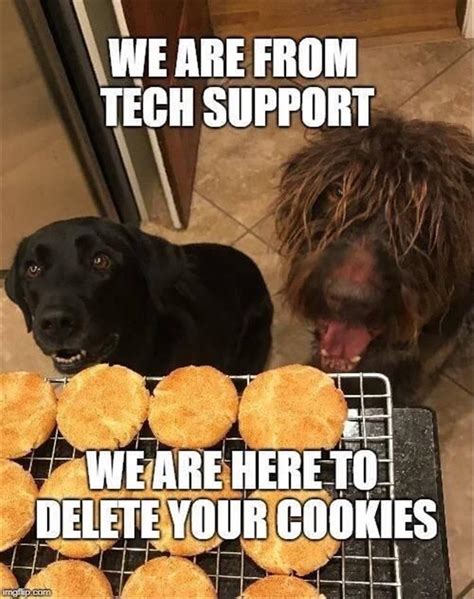 The Dogs From Tech Support Meme By Cheetodog Memedroid