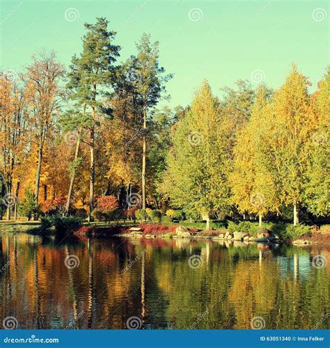 Colorful Autumn Trees Reflected At The Pond Stock Photo Image Of