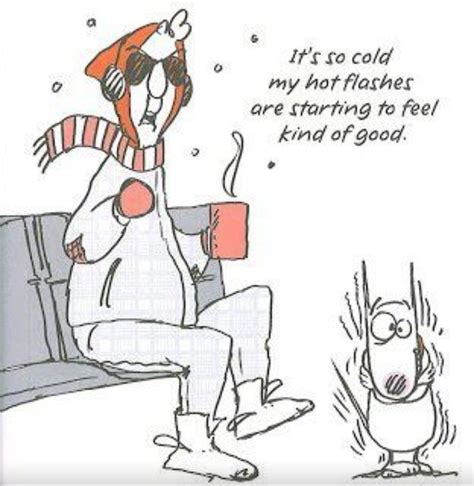 Hotflashes Cold Weather Funny Weather Memes Freezing Weather Winter Humor Canada Funny