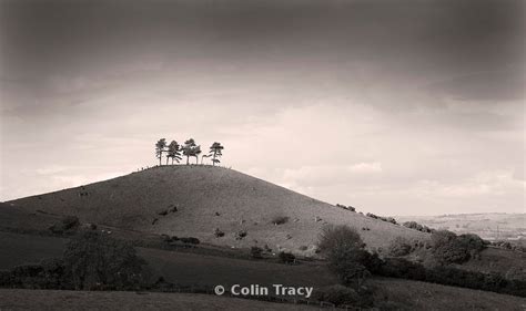 Colin Tracy Photography And Painting Colmers Hill 4 Bridport