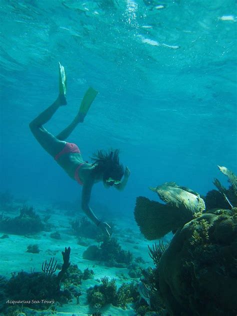 Snorkel Excursions In Grand Cayman Underwater Painting Underwater