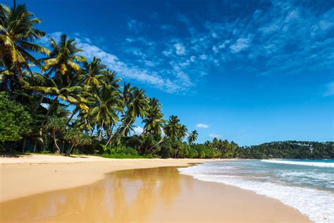 Vakantie Sri Lanka Goedkoop Naar Het Groene Sri Lanka Tui