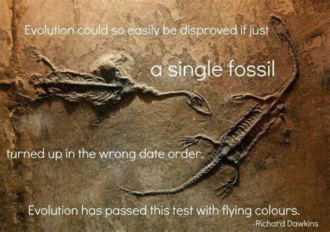 Most dinosaurs went extinct about 65.5 million years ago. 46 best images about Fossils, Evolution and Dinosaurs on ...