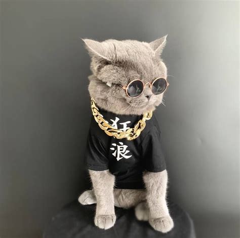 Gangster Cat Sunglasses For Halloween Cute Little Animals Trendy