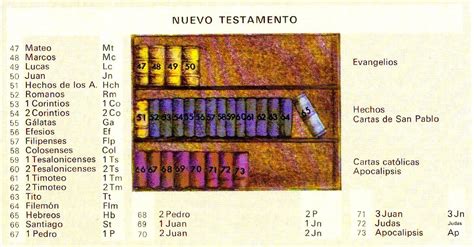 Nombres De Los 46 Libros Del Antiguo Testamento En Orden Varios Libros