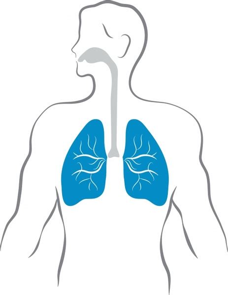 respiratory vectors free download 5 editable ai eps svg cdr files