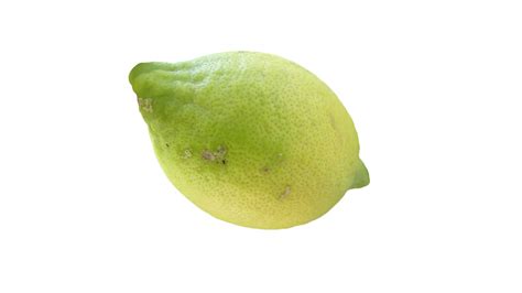 Download Lemon Citrus Fruit Royalty Free Stock Illustration Image