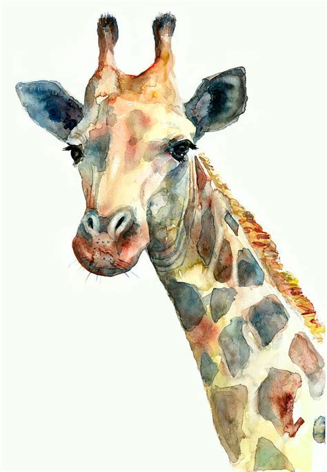 Giraffe Watercolor Painting By Dim Dom Fine Art America