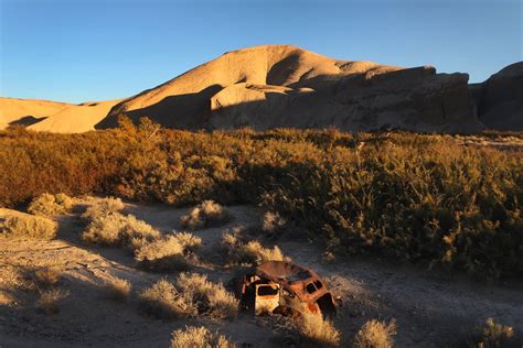 The Amargosa River Defies The Desert The New York Times