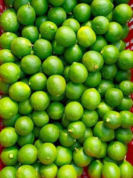1800 Calamansi Stock Photos Pictures And Royalty Free Images Istock