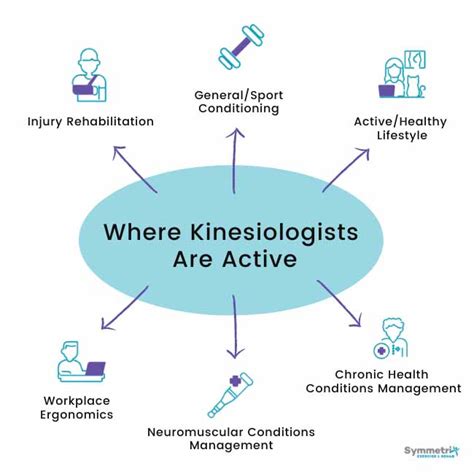 What Is Kinesiology The Ultimate Guide Symmetrix