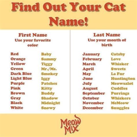 Pin By Gela Smith On Cats Name Games Name Generator