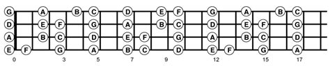String Bass Fretboard Note Labels String Bass Chart Finger Marker My