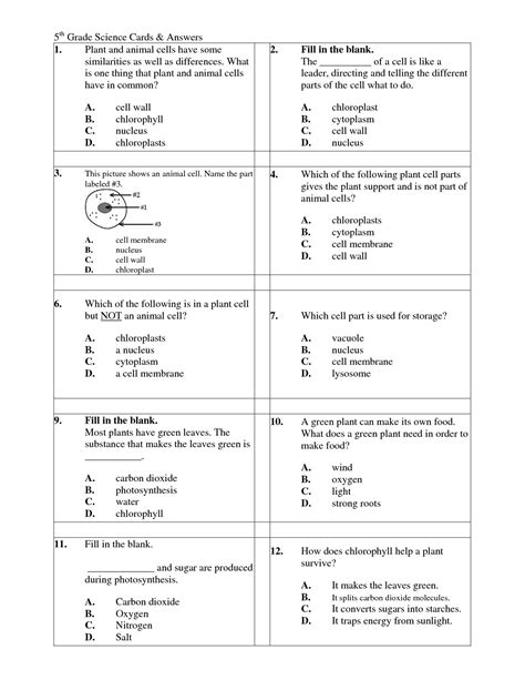 5Th Grade Science Worksheets With Answer Key — excelguider.com