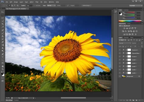 Download adobe photoshop cs6 as quickly as time permits. Adobe Photoshop CS6 Free Download Full Version With ...