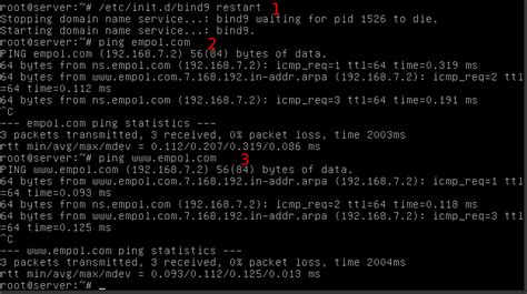 Instalasi Dan Konfigurasi Dns Server Di Debian Squeeze Technology