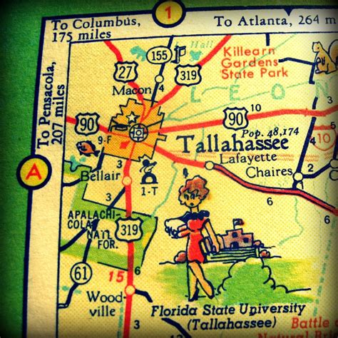Vintage Map Tallahassee Print 8x8 Florida By Vintagebeachmaps